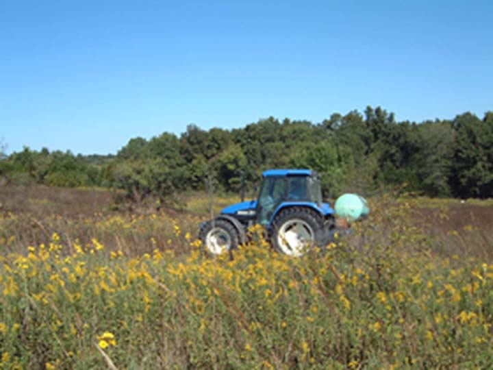 MDC Actively Manages the Landscape of Prairie Fork
